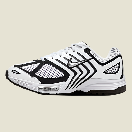 N AIR PEGASUS 2005 WHITE/BLACK/METALLIC SILVER